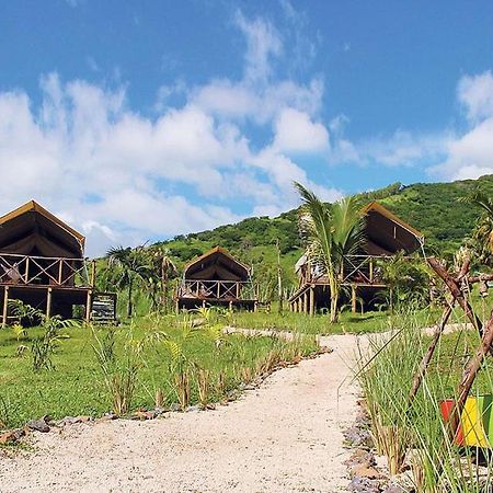 Otentic, Eco Tent Experience Grand River South East Bagian luar foto